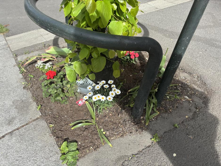 Blomster i Schweigaards gate. 