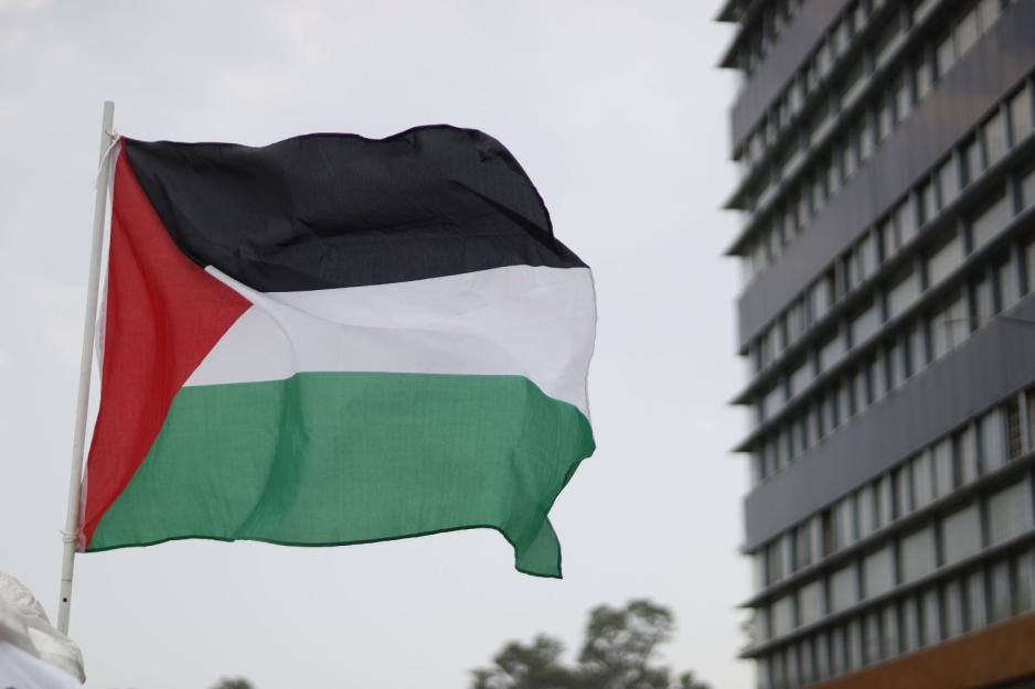 Palestinsk flagg
