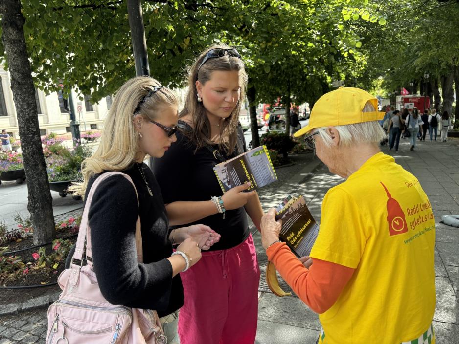 Mimi fors&oslash;ker aktivt &aring; f&aring; velgere til partiet. 