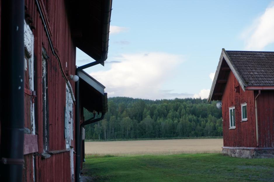 N&aelig;rbilde av en g&aring;rd 