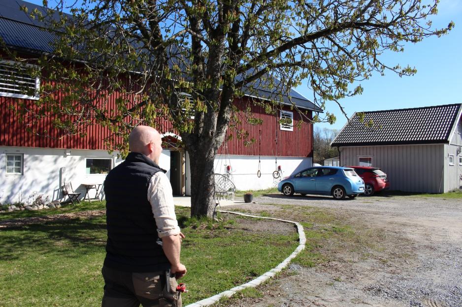 Borander går på gårdsplassen sin