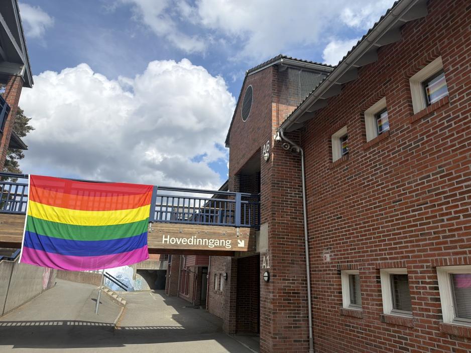 Prideflagg som henger på en bro