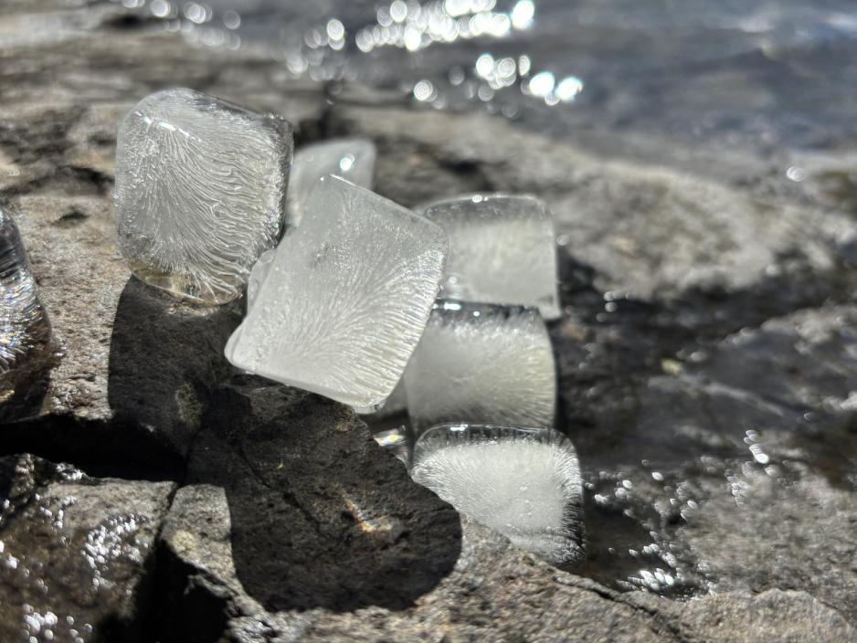 Is som smelter på stein, med vann bak seg.