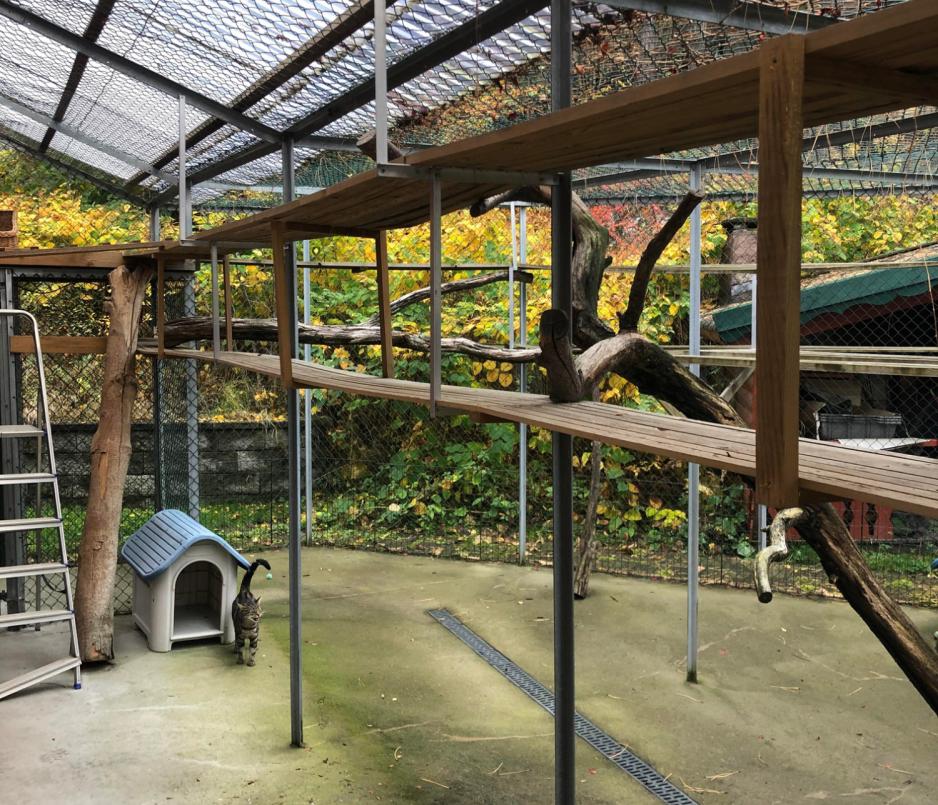 Lufteg&aring;rden til kattene hos Dyrebeskyttelsen.