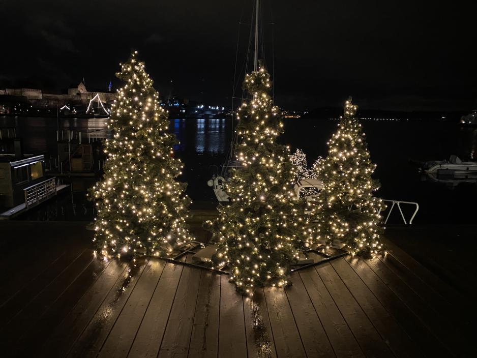 Juletr&aelig;r p&aring; Aker brygge