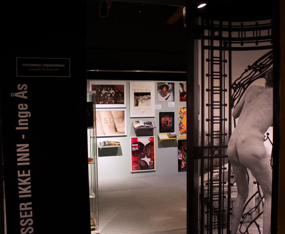 Bildeserie av Inge &aring;s, kvinneaktivistene klatret nakne p&aring; Vigelands jernporter.