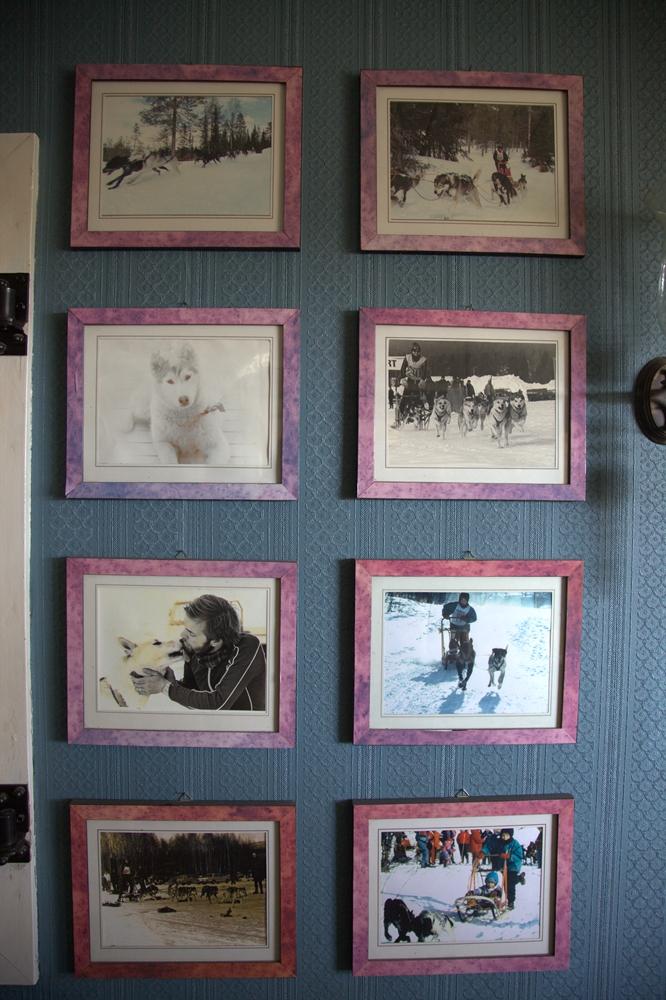 En vegg med bilder av hundekj&oslash;ring