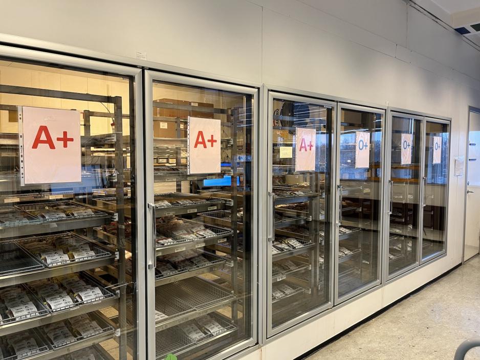 Blodposer i kj&oslash;leskap