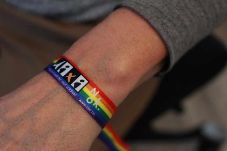 Bildet viser et nok armb&aring;nd