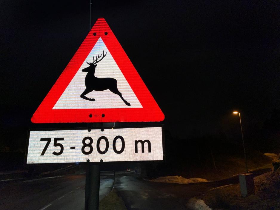 Hjorteskilt viser at sj&aring;f&oslash;ren m&aring; v&aelig;re obs for viltdyr i trafikken.