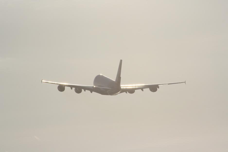 Fly som flyr vekk, overskyet v&aelig;r. 