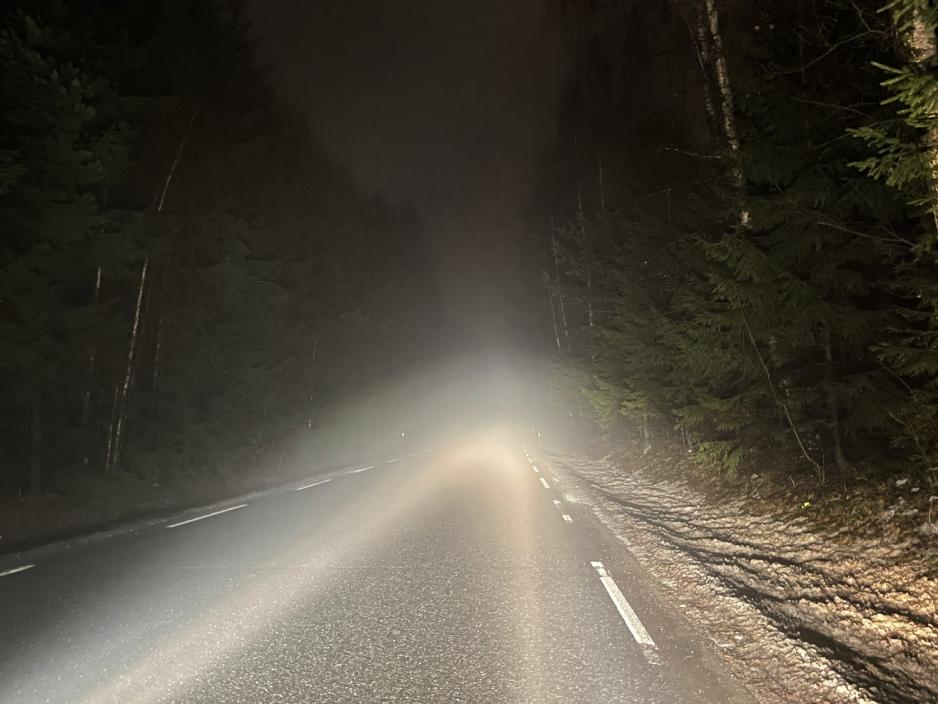 Frontlykter i m&oslash;rk skog