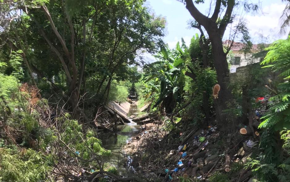 Vi ser en gr&oslash;nn skog med en bekk. Det er s&oslash;ppel i skogen. 