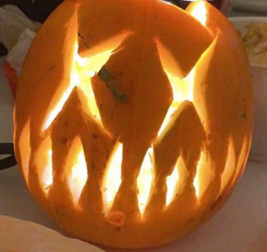 Utskj&aelig;rt gresskar