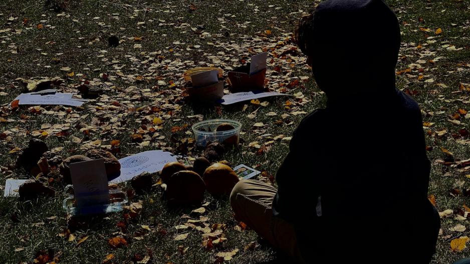 Gutt p&aring; soppkurs