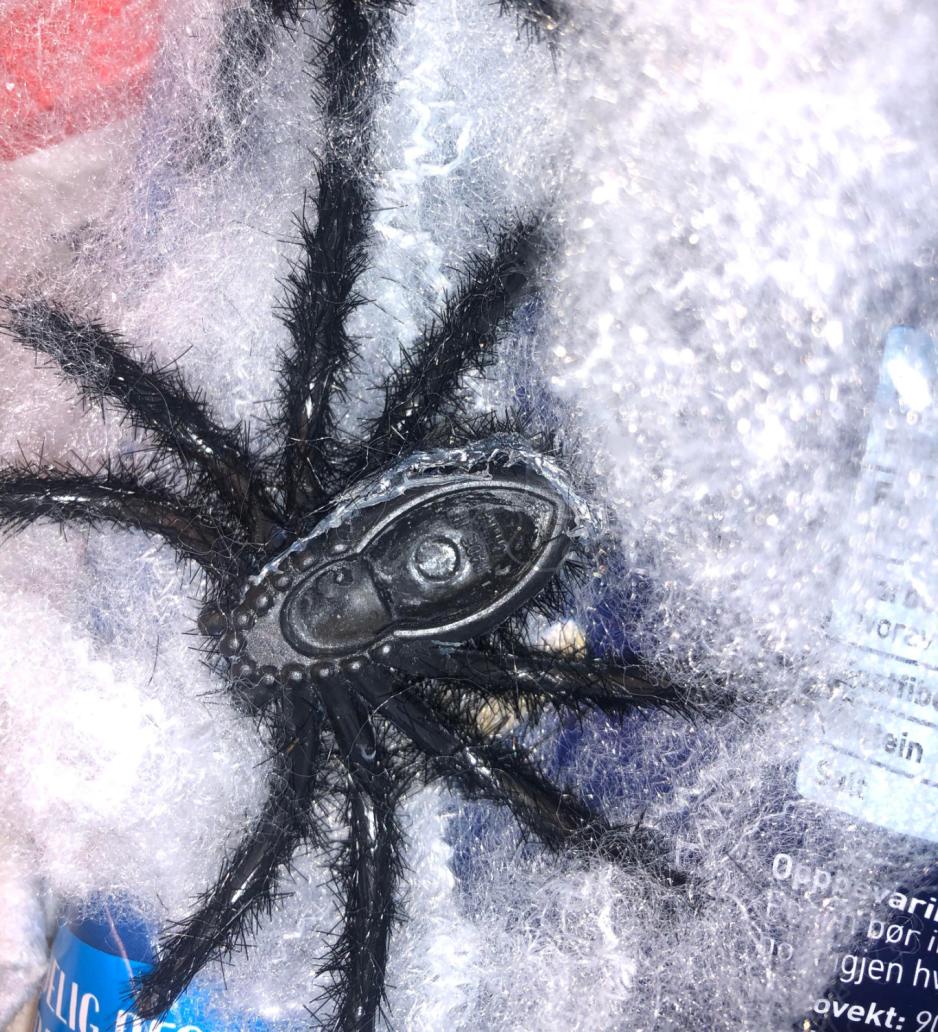 Halloweenpynt i s&oslash;pla.