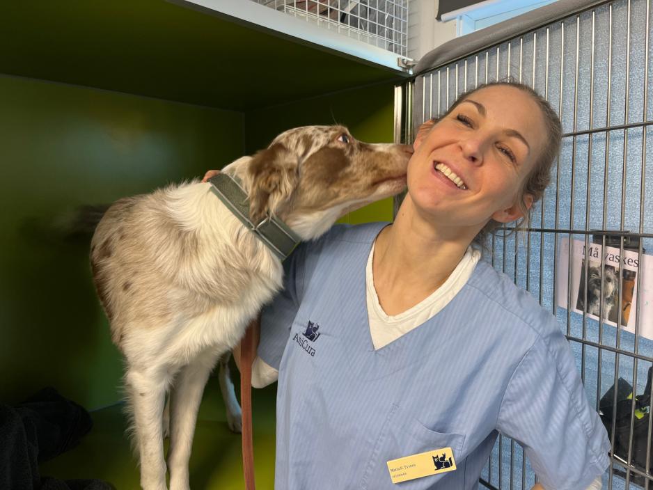 Hund og veterin&aelig;r