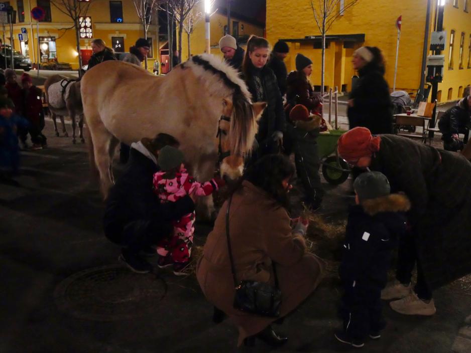 Hest p&aring; Thorbj&oslash;rn Egners Plass