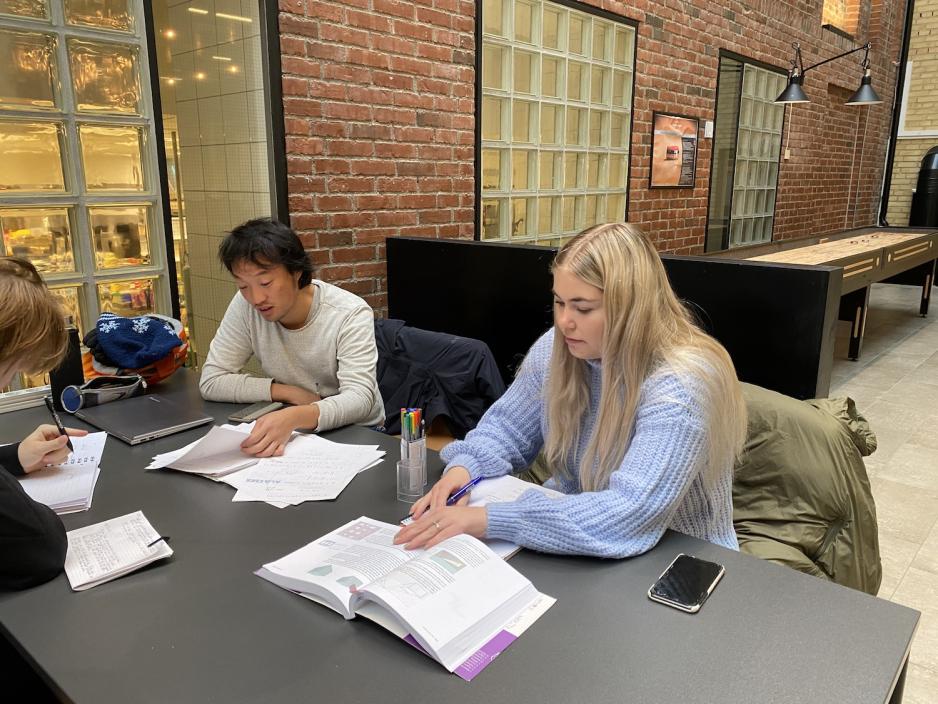 To studenter leser pensum p&aring; skolen