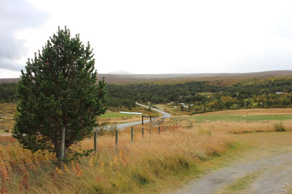 Landskap kledd i h&oslash;stfarger