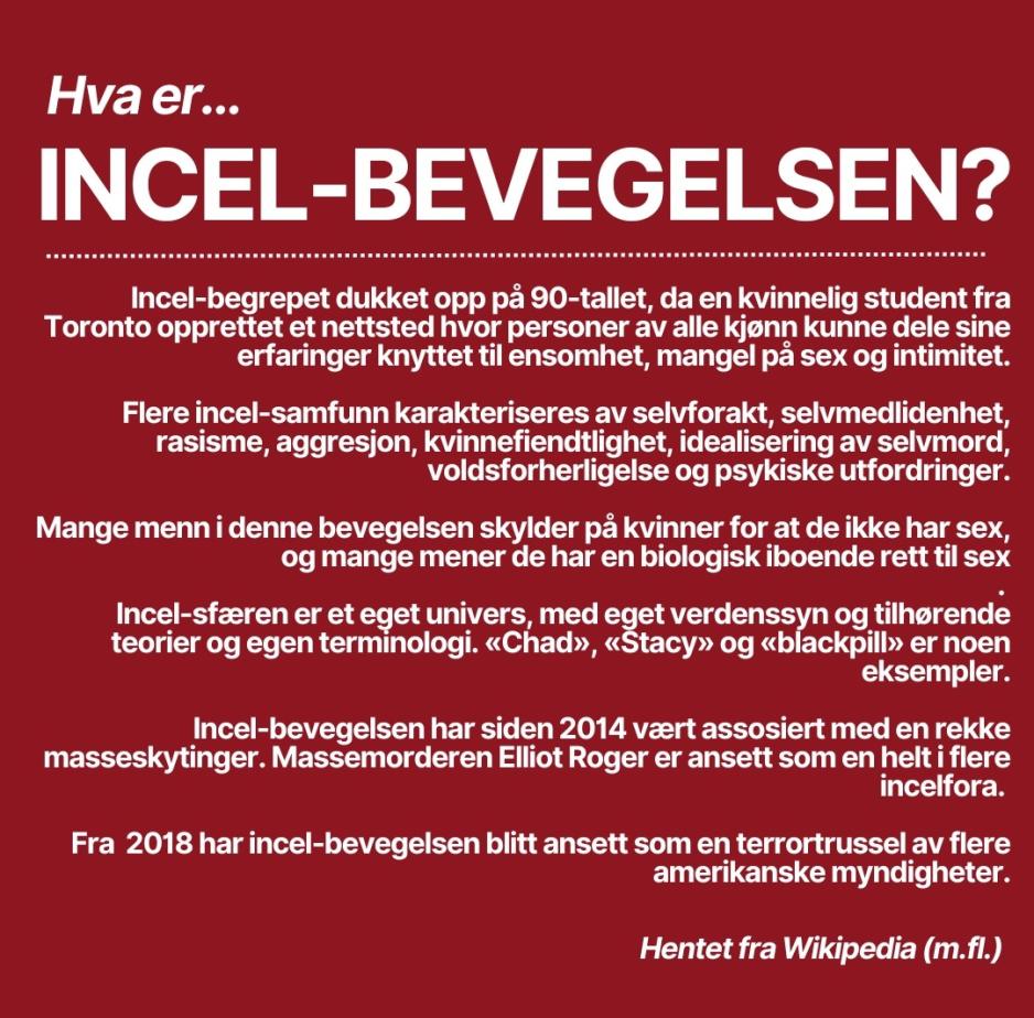 Faktatekst om incel-kulturen, begrepet betyr 'ufrivillig s&oslash;libat', ble f&oslash;rste gang brukt p&aring; et inkluderende nettsted for ensomme og ble laget av en kvinne p&aring; 90-tallet.