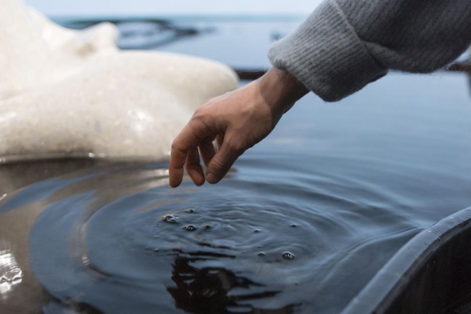 Laure Prouvost utstilling p&aring; Nasjonalmuseet