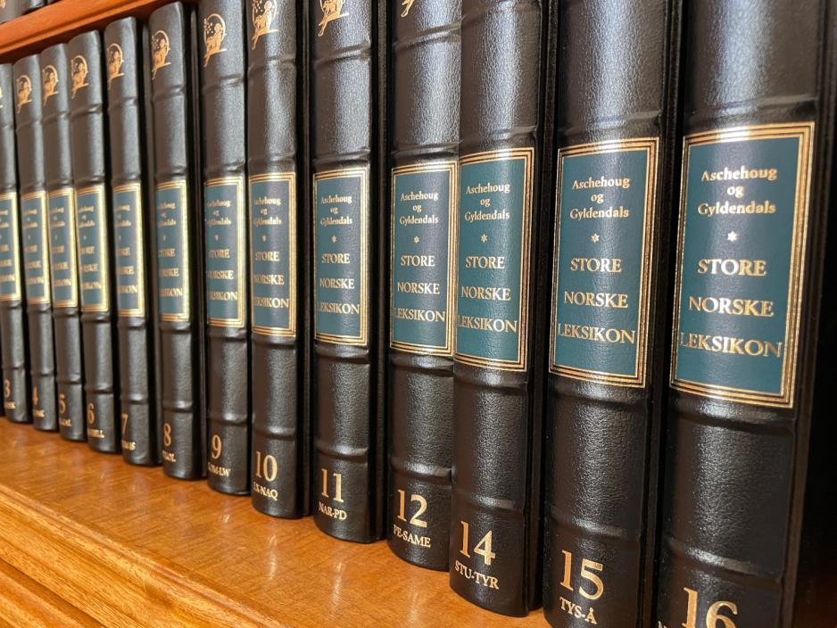 B&oslash;ker p&aring; bokhylle