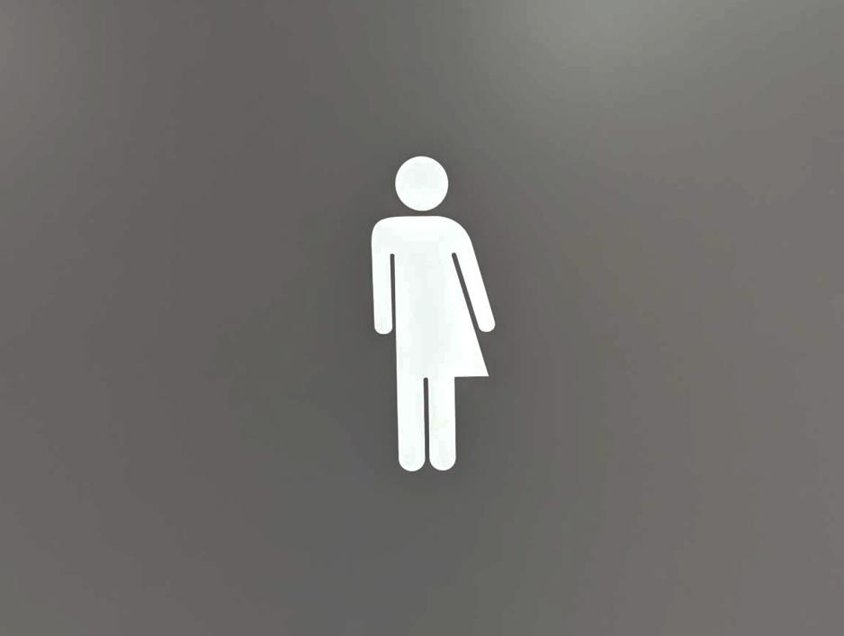 Kj&oslash;nnsn&oslash;ytralt toalett-skilt fra stortinget