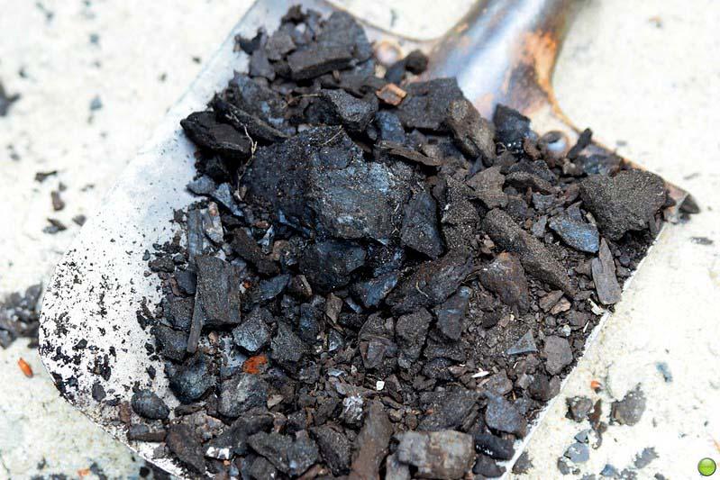 kullbiter opp&aring; en spade