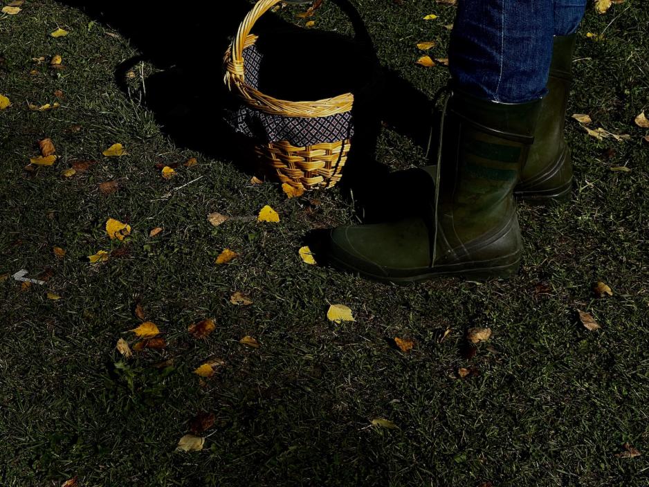 Kurv og st&oslash;vler