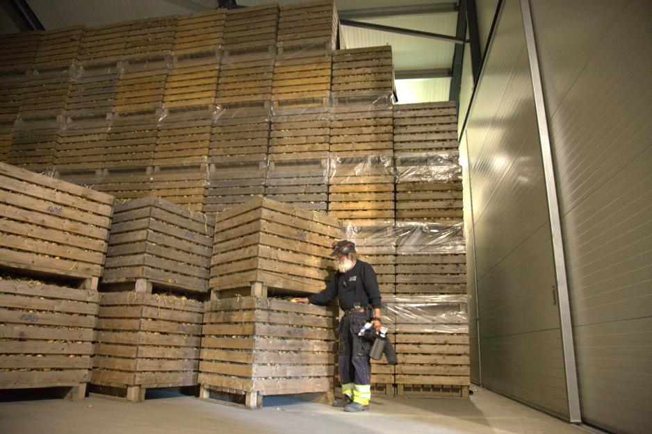 Einar Aas st&aring;r foran en vegg av l&oslash;kpaller