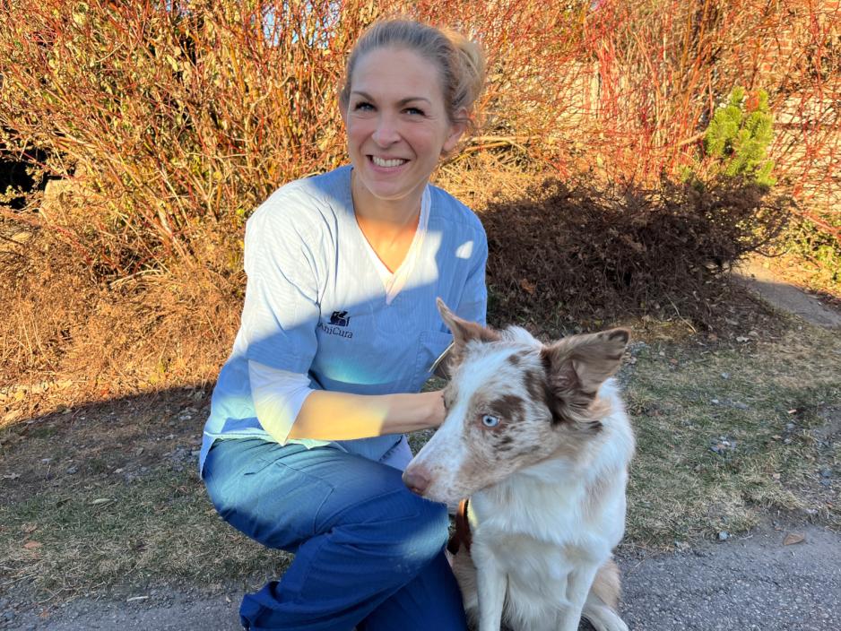 Veterin&aelig;r og hund