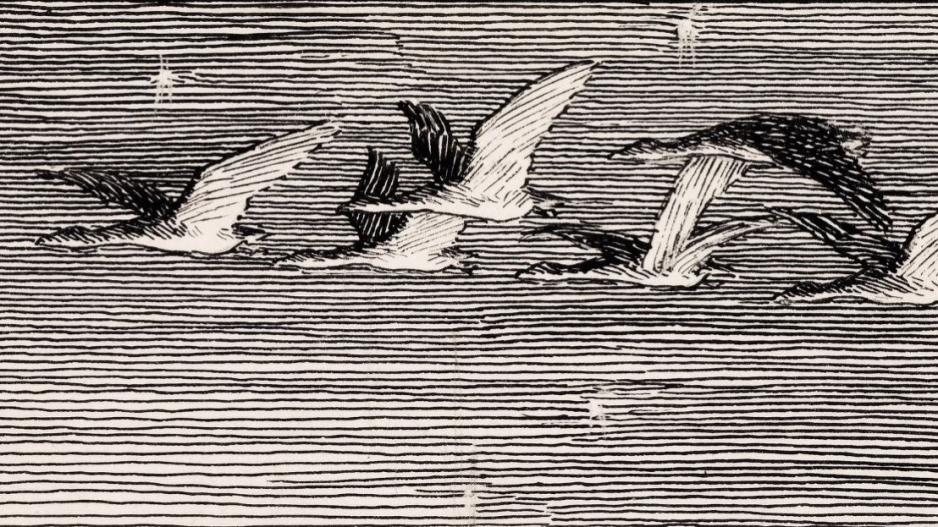 tegning av m&aring;ker som flyr