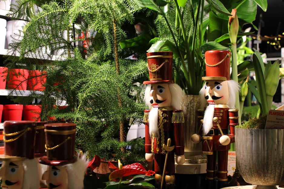 n&oslash;tteknekkere p&aring; Plantasjen