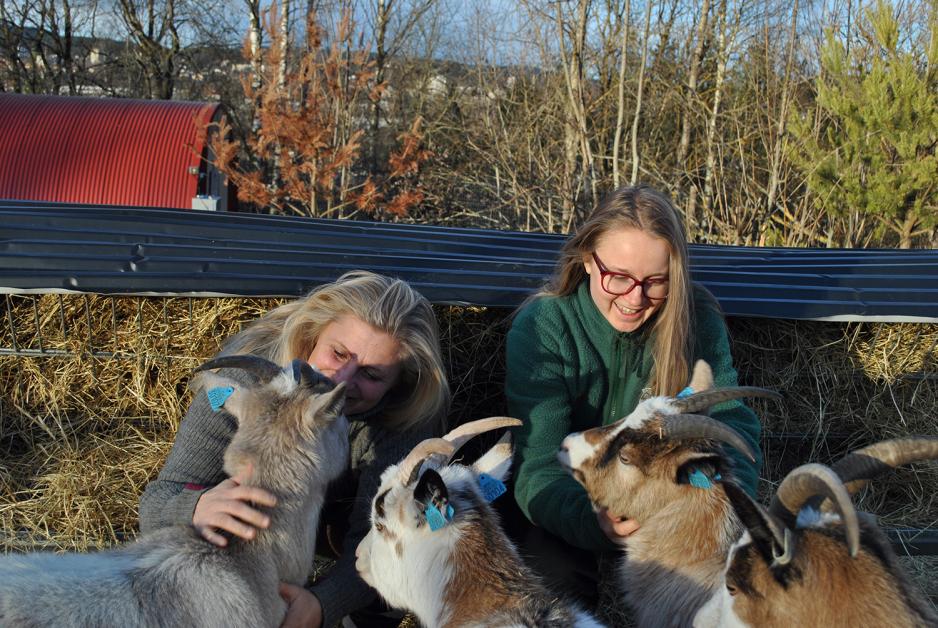 Henriette S&aelig;b&oslash; og Tonje Liver&oslash;d p&aring; Nordre Lindeberg g&aring;rd
