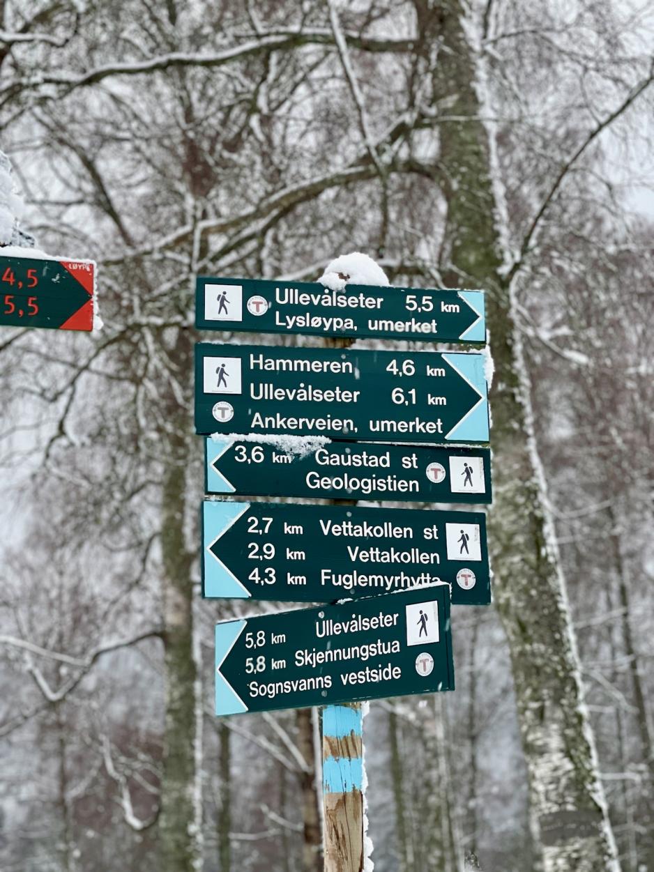 Bilde av skilt ved lysl&oslash;ype p&aring; Sognsvann