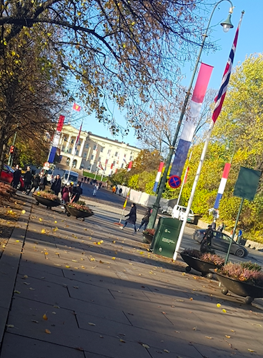 Bladene har begynte &aring; falle av tr&aelig;rne