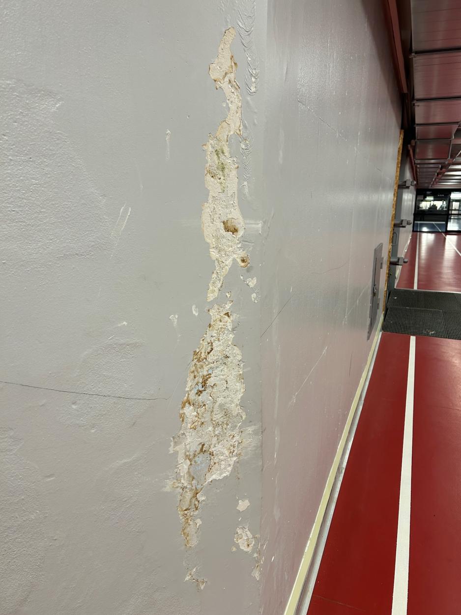 Hallen har problemer med sopp og r&aring;te.