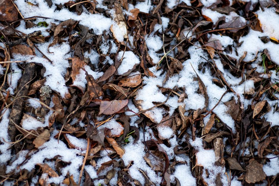 L&oslash;v og sn&oslash;