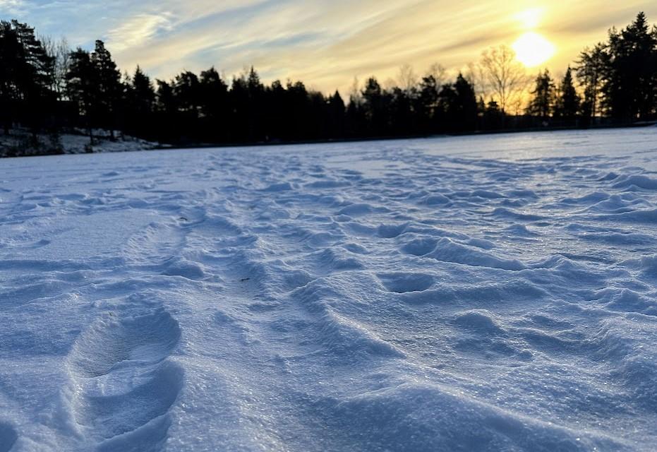 Fotspor p&aring; kryss og tvers av Vesletjern. 