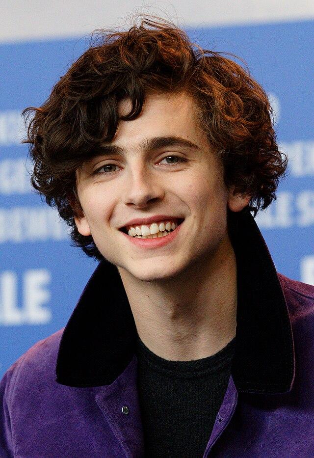 Bilde av Timoth&eacute;e Chalamet
