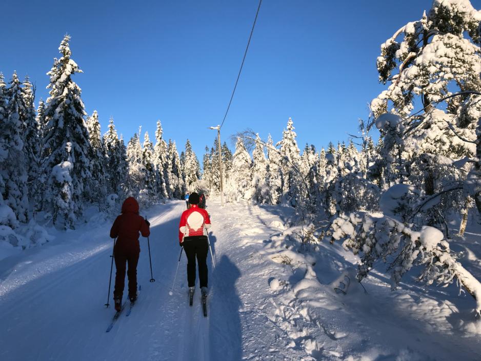 Ryggen til to personer i skil&oslash;ypa. 