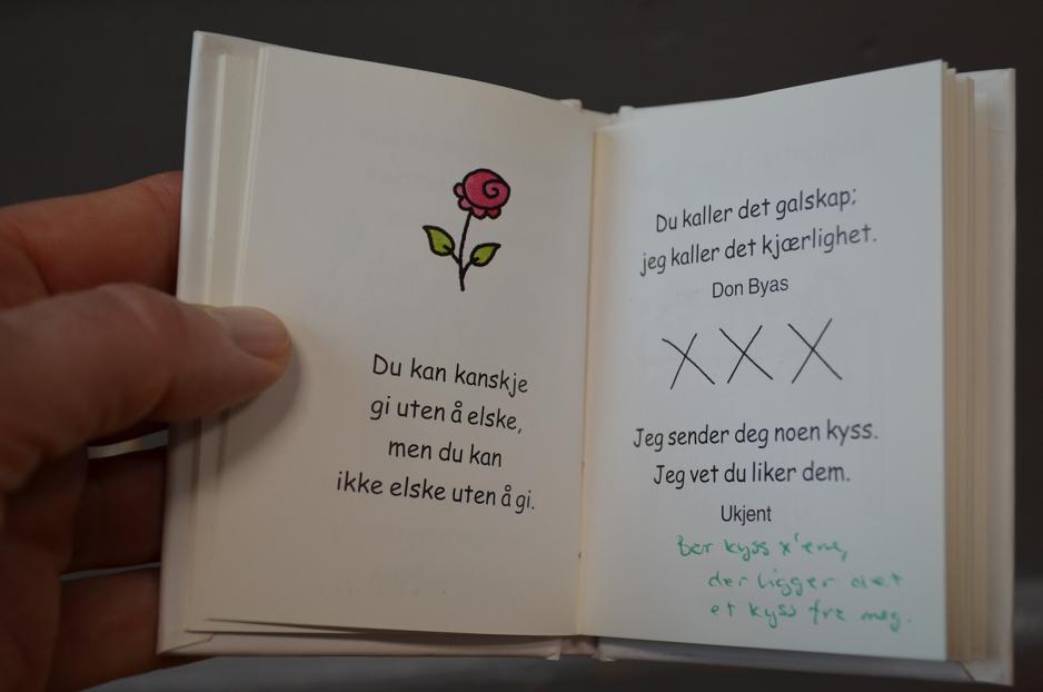 Utdrag fra en bok om kj&aelig;rlighet