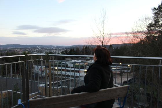 Aylin ser ut over Roms&aring;s