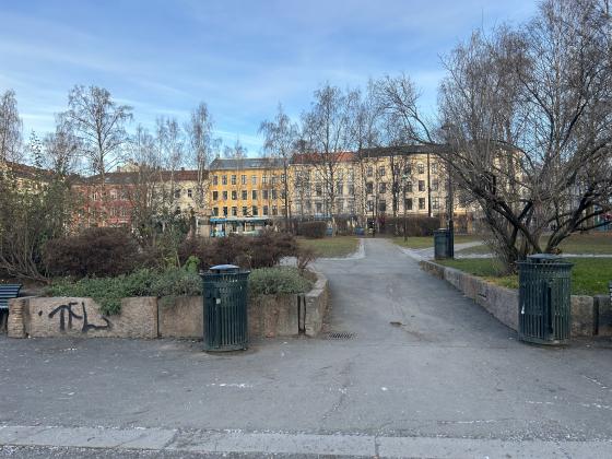 Birkelunden med benker, s&oslash;ppelkasse og en rotte 