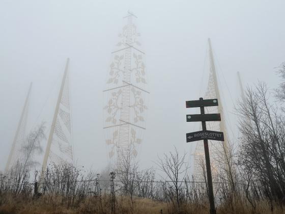 Fem gullseil i t&aring;ke, med skilt i forgrunnen