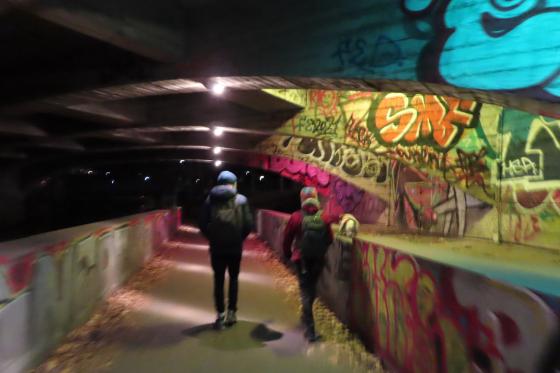 Turg&aring;ere under bro med hund