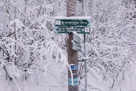 Turl&oslash;ype skilting i &Oslash;stmarka