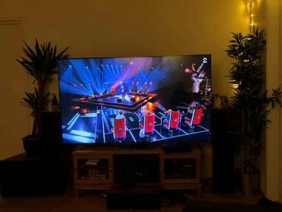 En stor TV mellom to planter, som viser The Voice. Bildet er tatt i &oslash;yeblikket dommerne snur seg for f&oslash;rste gang.