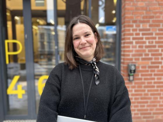 Thea &Oslash;rneseidet